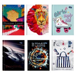 Registru A6 96 File Aritmetica Diverse Modele Educa