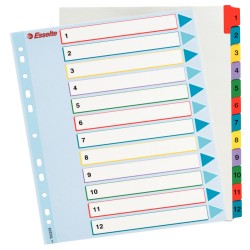 Separatoare Index Plastic 1-12 Reinscriptibil Esselte