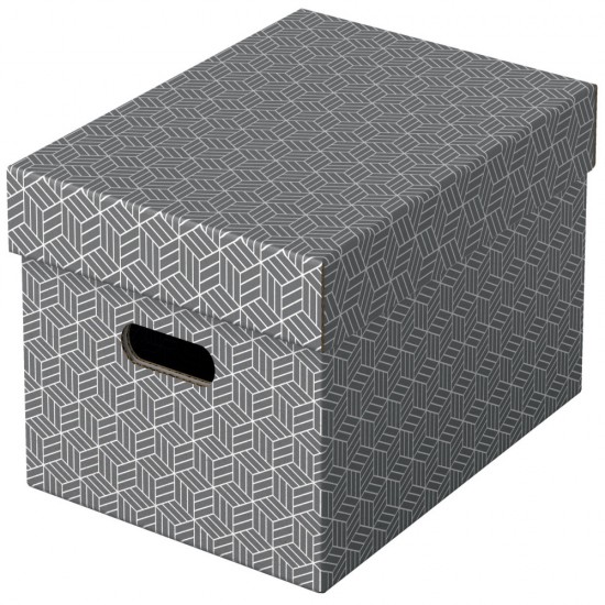 Cutie Depozitare Cu Capac 36 X 26 X 20cm Gri Recycled Fsc 3/set Esselte