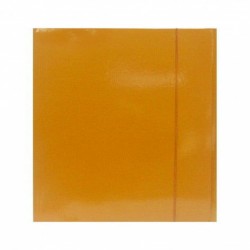 Mapa Carton Cu Elastic Portocalie 600g Fornax