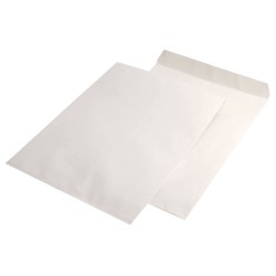 Plic E4 Silicon 100g 280*400mm Alb Tip T 250/c Gpv