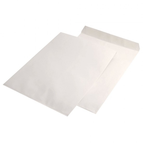 Plic E4 Silicon 100g 280*400mm Alb Tip T 250/c Gpv