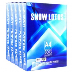 Set 5 Topuri Hartie Copiator SNOW LOTUS, A4, 500 Coli/Top, 80 g/mÂ²