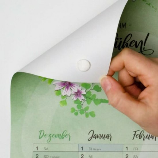 Set 84 Bucati Guma Adeziva Gumfix Kores, Alb, Fara Solvent, Adeziv Guma, Guma de Lipit, Guma Adeziv Perete, Lipici pentru Perete, Adeziv pentru Perete, Pastile Adezive, Adeziv de Perete, Guma Adeziva Kores, Pastile Adezive Kores