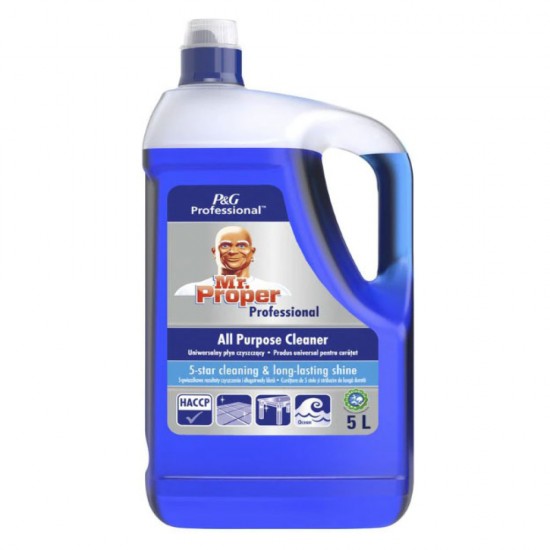 Detergent Gresie 5l Mr.proper