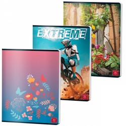 Caiet A4 60 File Aritmetica Coperta Pp Pigna