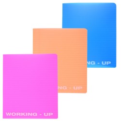 Caiet A5 48 File Dictando Coperta Pp Working Up Pigna
