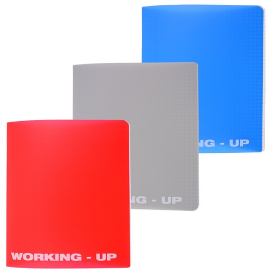 Caiet A5 48 File Aritmetica Coperta Pp Working Up Pigna