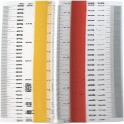 Scarar Arhitect T1 Rotring