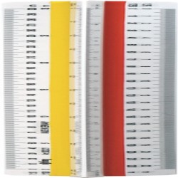 Scarar Scolar T2 Rotring