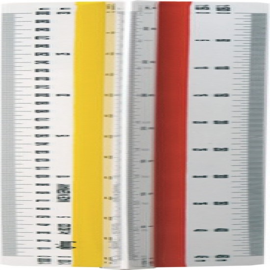 Scarar Topograf T6 Rotring