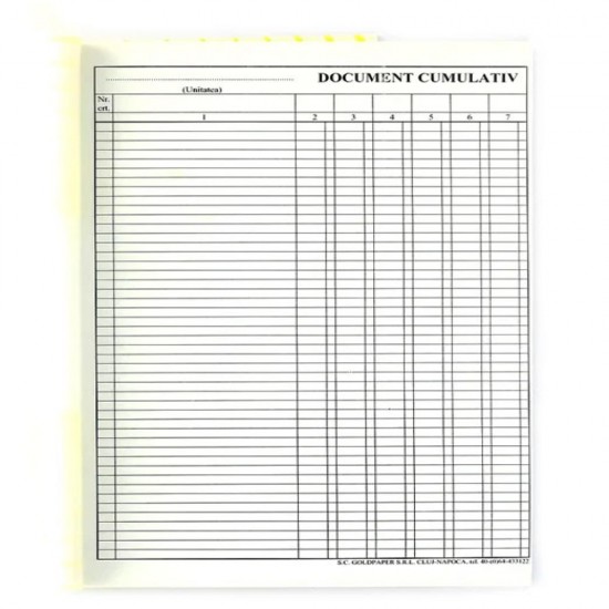 Document Cumulativ A4 Vertical