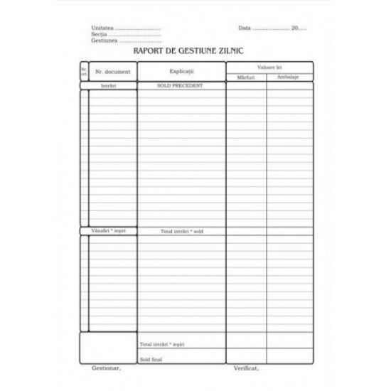 Raport De Gestiune Zilnic