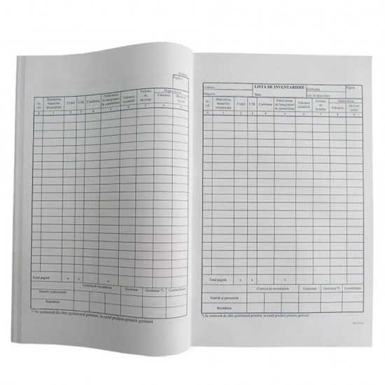 Lista Inventar Vertical 9 Coloane