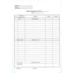 Raport De Gestiune Zilnic Autocopiativ