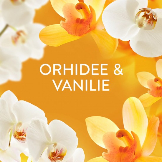 Lenor Balsam Rufe Gold Orchid&vanilla 1239ml 59 Spalari