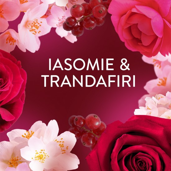 Lenor Balsam Rufe Jasmine&rose 1239ml 59 Spalari