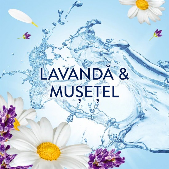Lenor Balsam Rufe Lavander&chamomile 1491ml 71 Spalari