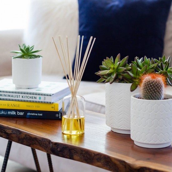 Odorizant de Camera BRAIT Crystal Air, Betisoare Rattan, 40 ml, Betisoare Odorizante, Betisoare Parfumate pentru Camera, Betisoare Parfumate din Rattan, Difuzoare de Camera, Betisoare Parfumate