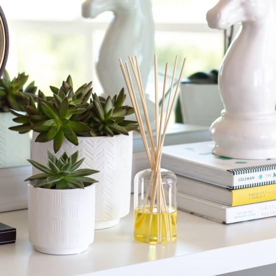 Odorizant de Camera BRAIT Paradise Flowers, Betisoare Rattan, 40 ml, Betisoare Odorizante, Betisoare Parfumate pentru Camera, Betisoare Parfumate din Rattan, Difuzoare de Camera, Betisoare Parfumate