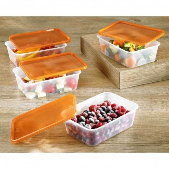 Cutie Alimente STERK, 1.5L,19x14x9 cm, Capac Mov, Caserole Depozitare Alimente, Caserole Alimentare cu Capace din Plastic, Caserole din Plastic cu Capac, Caserola cu Capac, Cutii din Plastic pentru Depozitare si Pastrare Alimente