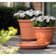Ghiveci cu Tava STERK, 16x13 cm, Plastic Maro, Ghiveci pentru Flori, Ghiveci cu Tavita pentru Flori, Ghivece, Ghivece Plastic cu Tavita, Articole Decorative, Ghivece cu Tavita pentru Flori, Ghivece cu Tava pentru Flori
