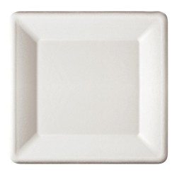 Farfurie Patrata Biodegradabila, 25x25 cm, 20 Buc/Set, Trestie de Zahar, Farfurie Biodegradabila din Trestie de Zahar, Farfurie Patrata Biodegradabila, Farfurii Reciclabile, Farfurii Ecologice, Farfurii Biodegradabile de Unica Folosinta
