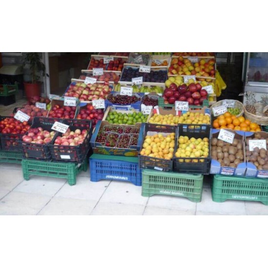 Naveta Orser, 60x40x17 cm, 25 l, Plastic HDPE, Verde