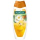 Gel de Dus PALMOLIVE Camellia Oil &amp; Almond, Cantitate 500 ml, cu Extract de Ulei de Camelie si Migdale, Geluri de Dus Palmolive, Gel de Corp, Geluri de Dus, Gel de Dus Palmolive, Gel de Dus Corp, Gel de Dus Hidratant