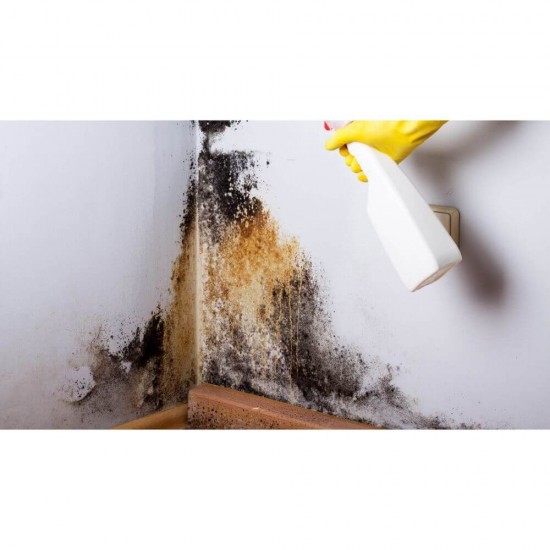 Solutie Spray Antimucegai SAVO Multisuprafete, Cantitate 500 ml, Solutii Antimucegai, Solutie Pulverizatoare pentru Mucegai, Spray Eliminare Mucegai, Solutie de Indepartare Mucegai, Solutie Dezinfectanta Antimucegai