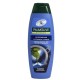 Sampon PALMOLIVE Anti-Dandruff, 350 ml, Extract de Menta,  Extract de Menta, Pentru Toate Tipurile de Par, Sampon pentru Par, Sampon pentru Par Normal, Sampon Palmolive, Sampone Palmolive, Sampon Antimatreata, Sampone Antimatreata, Sampon Menta