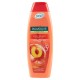 Sampon PALMOLIVE Hydra Balance, 350 ml, Extract de Piersica, Extract de Piersica, Pentru Toate Tipurile de Par, Sampon pentru Par, Sampon pentru Par Gras, Sampon pentru Par Normal, Sampon Palmolive, Sampoane Palmolive