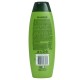 Sampon PALMOLIVE Silky Shine Effect, 350 ml, Extract de Aloe Vera, cu Extract de Aloe Vera, Sampon Fortifiant, Sampon Spalare Par, Sampon Fortifiere, Sampoane pentru Par Degradat, Sampon Ingrijire Par, Sampon Curatare Par, Sampon pentru Parul Moale