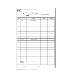 Raport de Gestiune Zilnic Autocopiativ, Format A4, 2 Exemplare, 50 Seturi/Carnet, Raport de Gestiune Nepersonalizat, Tipizat si Formular Fiscal Contabil Nepersonalizat