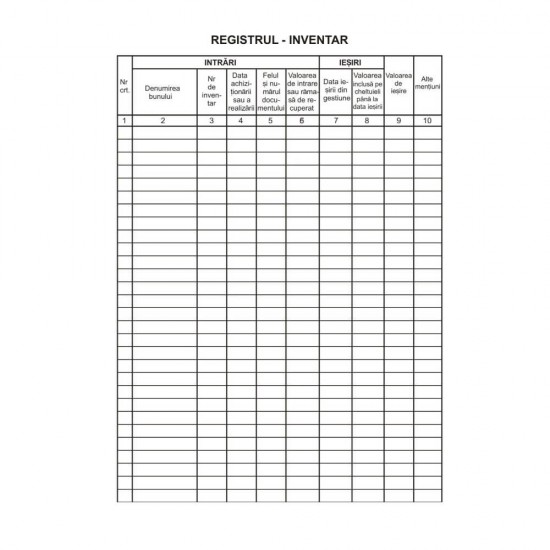Registru Inventar Vertical A4, 100 File/Carnet - Formular Tipizat Gestiune