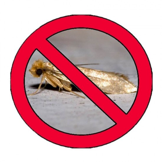 Capcane Molii Alimente Raid, 3 Buc/Set, Protectie 8 Saptamani, Insecticid, Hartie Activa Raid Impotriva Moliilor, Capcane pentru Molii Alimentare Raid, Insecticid Molii Raid, Capcane Adezive Anti Molii, Hartie Adeziva Anti Molii, Hartii Adezive Anti Molii