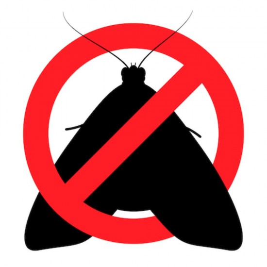 Capcane Molii Alimente Raid, 3 Buc/Set, Protectie 8 Saptamani, Insecticid, Hartie Activa Raid Impotriva Moliilor, Capcane pentru Molii Alimentare Raid, Insecticid Molii Raid, Capcane Adezive Anti Molii, Hartie Adeziva Anti Molii, Hartii Adezive Anti Molii