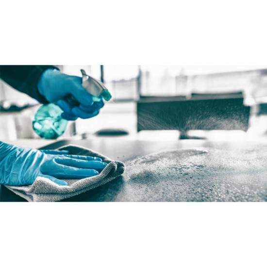 Spray Curatare si Ingrijire Suprafete Pronto, 500 ml, Ofera Stralucire, Pronto Pulverizator Ideal pentru Diferite Suprafete, Solutie Curatat Multisuprafete, Solutie pentru Indepartarea Prafului, Detergent Universal Suprafete