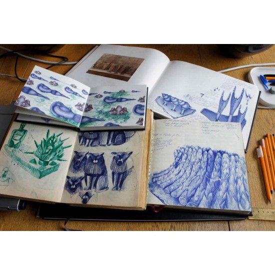 Set 12 Pixuri Bic Soft Feel Clic, Varf 1 Mm, Albastre, Set Pixuri Colorate, Pixuri Bic, Pixuri Retractabile Pentru Scoala, Set Pixuri Albastre Cu Buton, Pixuri Albastre Cu Mecanism, Pix Albastru Cu Mecanism, Pix Pentru Scoala, Pix Albastru Cu Buton