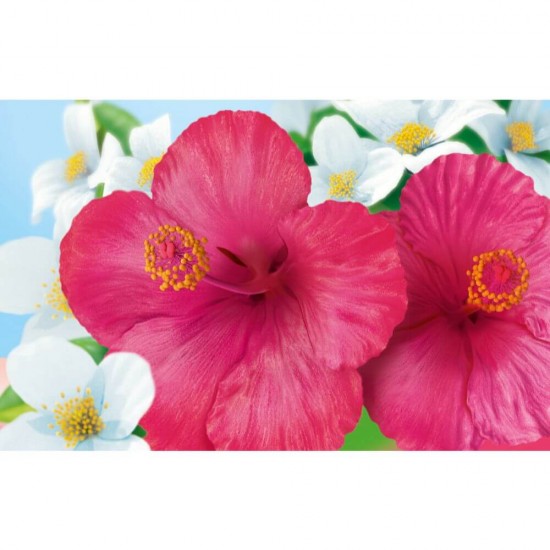 Solutie Suprafete Ajax Floral Fiesta Hibiscus, 1 L, Solutie Curatat Suprafete, Solutie de Curatat Ajax, Lichid Curatat Suprafete, Detergent Lichid Suprafete, Detergent Universal Suprafete