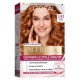 Vopsea de Par Permanenta L'OREAL Paris Excellence Creme 7.43, Blond Aramiu, 192 ml, Cu Amoniac, Vopsea de Par, Vopsea de Par Permanenta, Vopsea de Par L'OREAL, Vopsea de Par L'OREAL Paris Excellence, Vopsea Permanenta L'OREAL