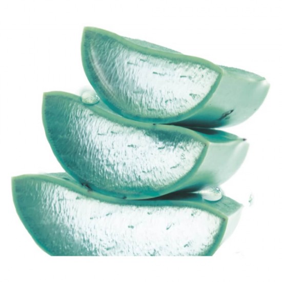 Crema Hidratanta de Zi Garnier Skin Naturals, cu Acid Hialuronic si Aloe Vera, 50 ml, Crema, Crema de Zi, Crema cu Acid Hialuronic, Crema cu Aloe Vera, Crema Hidratanta, Crema de Fata, Crema pentru Fata, Crema de Zi pentru Fata