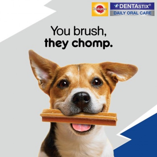 Sticks pentru Caini de Talie Mica, Pedigree, DentaStix Daily Oral Care, 45 g, 3 Buc, Pedigree Sticks pentru Caini de Talie Mica, Sticks DentaStix Pedigree, DentaStix Caini, Recompense DentaStix