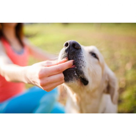 Recompense pentru Caini PEDIGREE Tasty Bites, Cubulete Gumate, 130g, Mancare pentru Catei, Cubulete de Carne pentru Catei, Recompense din Carne pentru Caini, Cubulete Recompensa pentru Catei, Cubulete de Carne pentru Caini