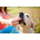 Recompense pentru Caini PEDIGREE Tasty Bites, Cubulete Gumate, 130g, Mancare pentru Catei, Cubulete de Carne pentru Catei, Recompense din Carne pentru Caini, Cubulete Recompensa pentru Catei, Cubulete de Carne pentru Caini