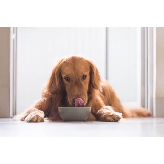 Plic Hrana Umeda pentru Caini PEDIGREE Vital, Vita si Miel, 100 g, Hrana cu Vita si Miel pentru Caine, Conserva de Carne de Vitasi Miel, Carne de Vita pentru Catei, Hrana la Plic pentru Caini, Plic de Vita cu Miel pentru Catei Pedigree