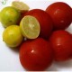 Alune in Aluat, Salsa si Lime, Mogyi Crasssh, 60 g, Mogyi Alune Prajite in Aluat cu Gust de Salsa si Lime, Arahide Prajite in Aluat cu Aroma de Salsa si Lime Mogyi, Alune in Aluat Mogyi, Alune Prajite in Aluat Mogyi Crasssh