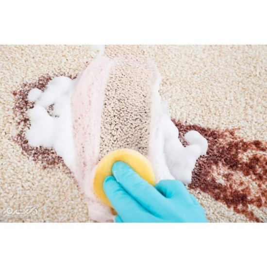 Sampon pentru Covoare Biocarpet Odour Control, 500 ml, Parfum Floral, Sampon de Covoare, Sampoane pentru Covoare, Sampoane de Covoare, Solutie de Covoare, Solutii de Covoare, Solutie Curatat Covoare, Solutii Curatat Covoare, Detergenti Covoare