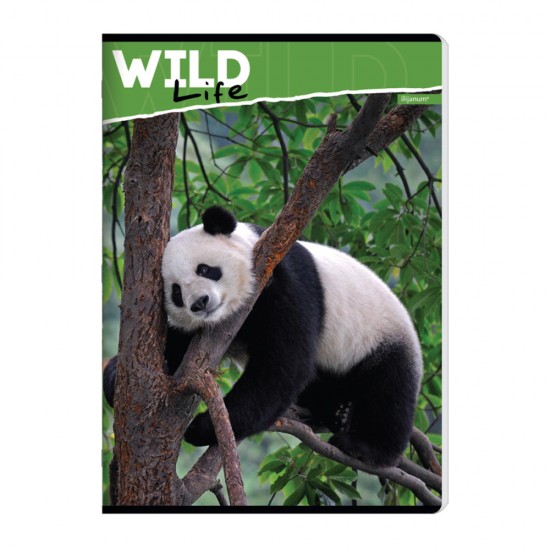 Caiet A4 Capsat, 52 File Matematica, 70g/mp, Design Animale