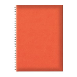 Agenda B5 Tucson, Nedatata, Hartie Offset Alb, Spira Ascunsa, Coperta Portocaliu